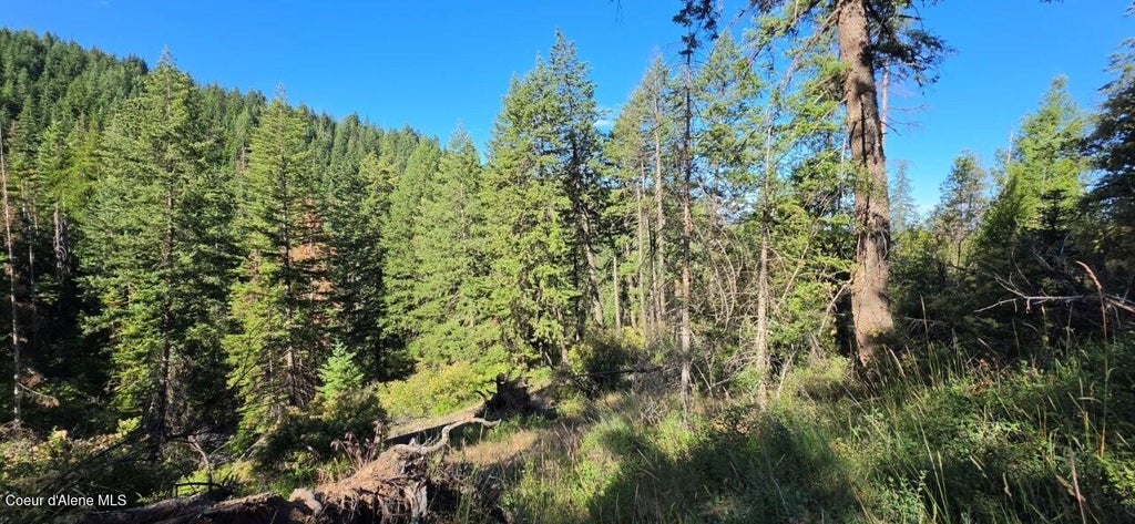 Photo of Gages Mountain Mountain, Coeur dAlene, ID 83814 (MLS # 26-7547)