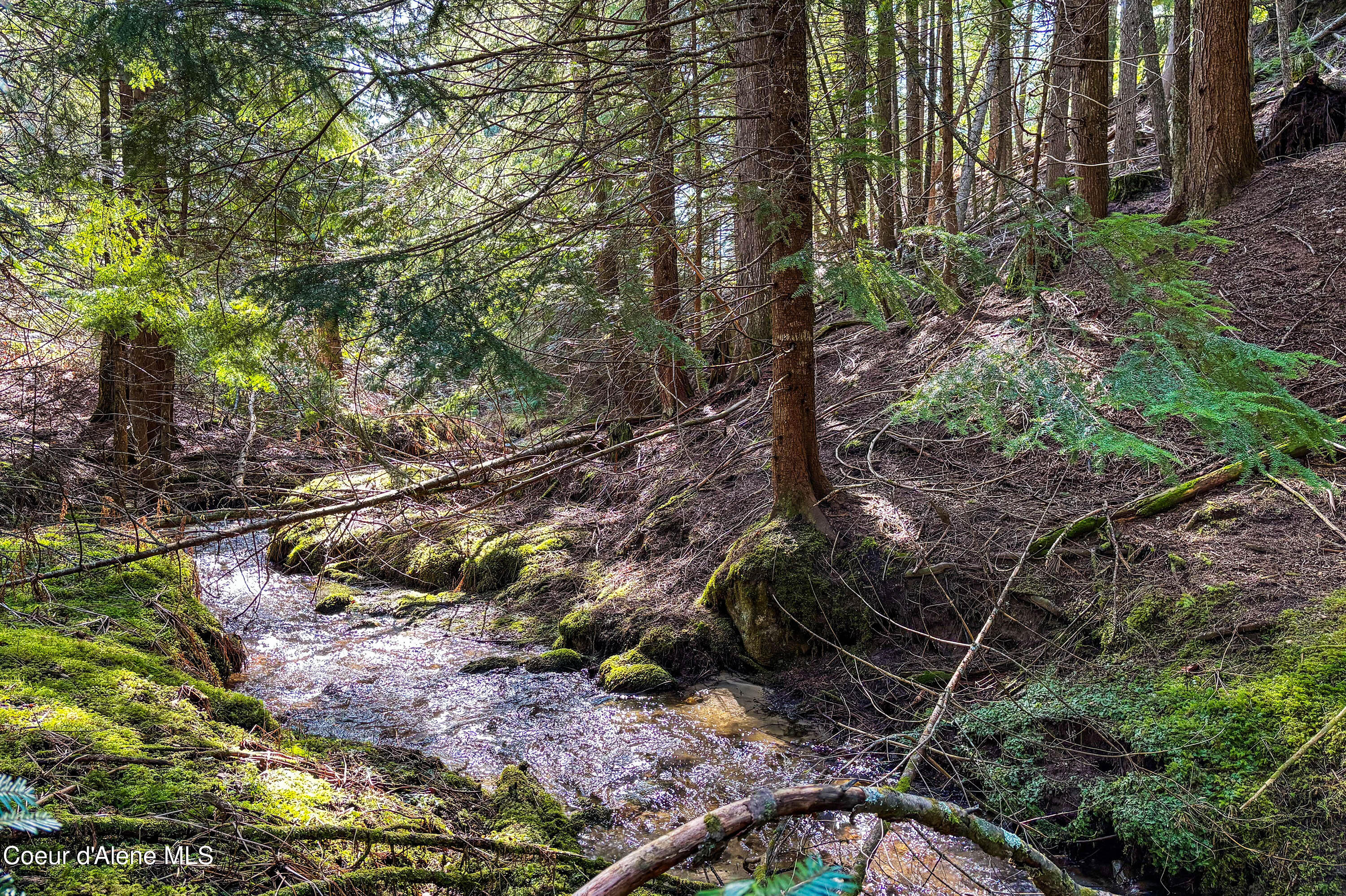NNA Smith Creek, Sandpoint, Idaho image 16