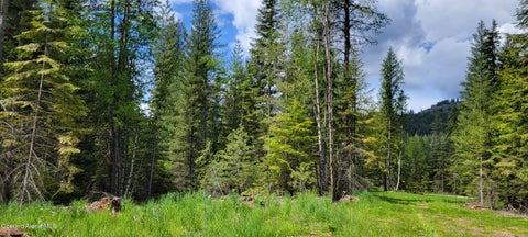 Vacant Land For Sale - NNA Pup Paw Trail - North<br/> Priest River, ID 83856