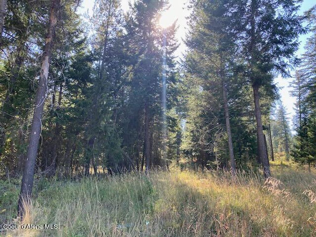 Photo of L6B9 Walden Loop, Rathdrum, ID 83858 (MLS # 24-8783)