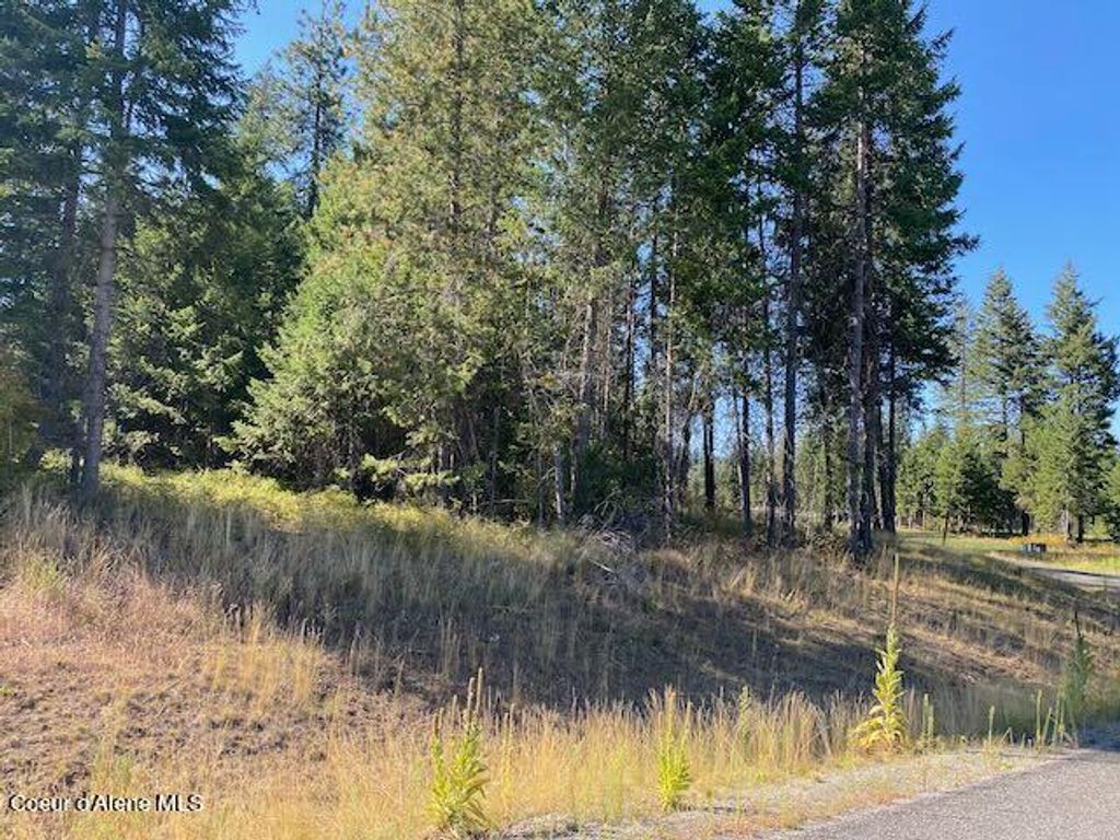 Photo of L6B9 Walden Loop, Rathdrum, ID 83858 (MLS # 24-8783)