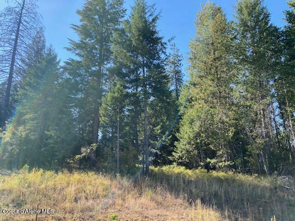 Photo of L6B9 Walden Loop, Rathdrum, ID 83858 (MLS # 24-8783)