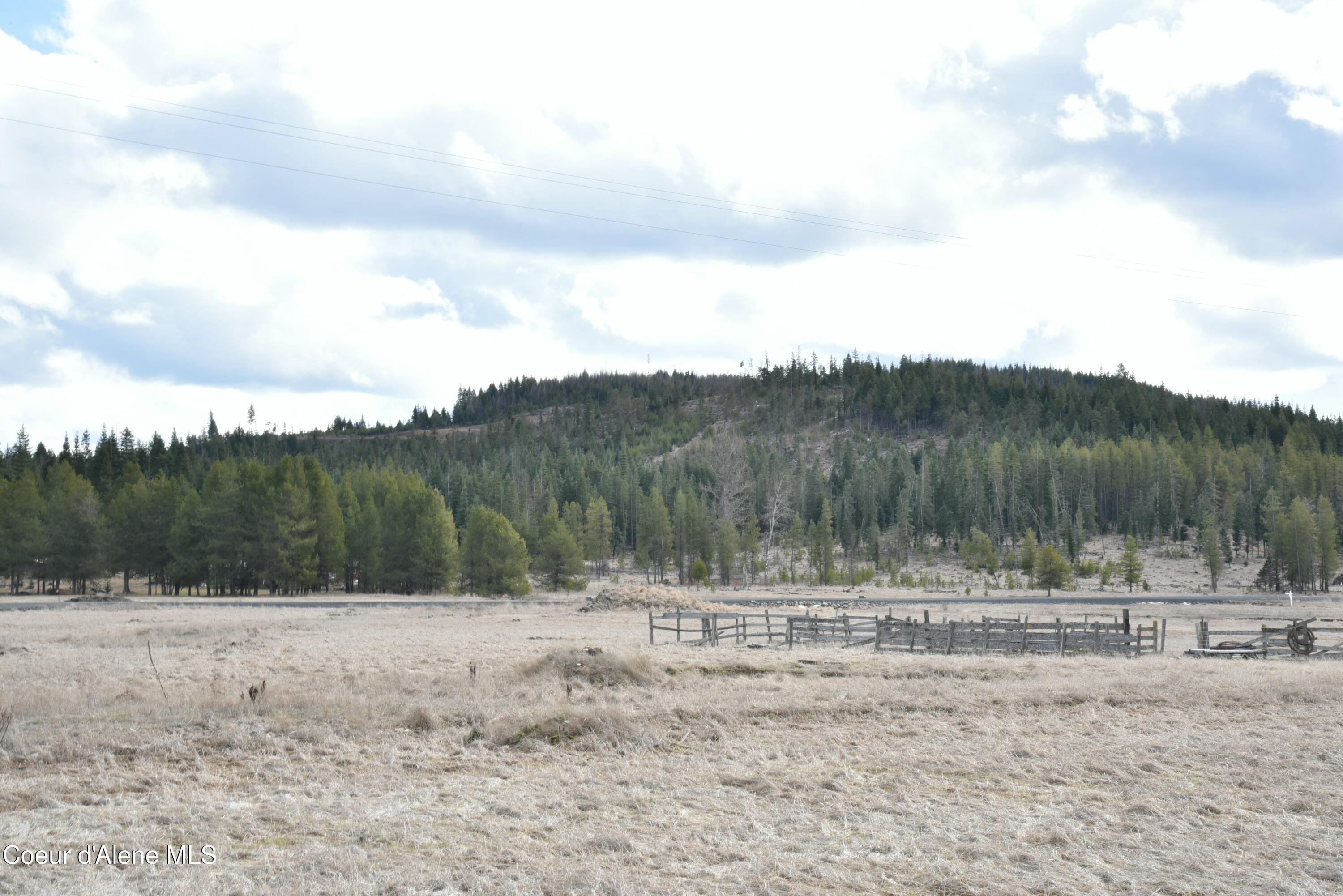 Parcel 8 S Green Valley, Fernwood, Idaho image 8