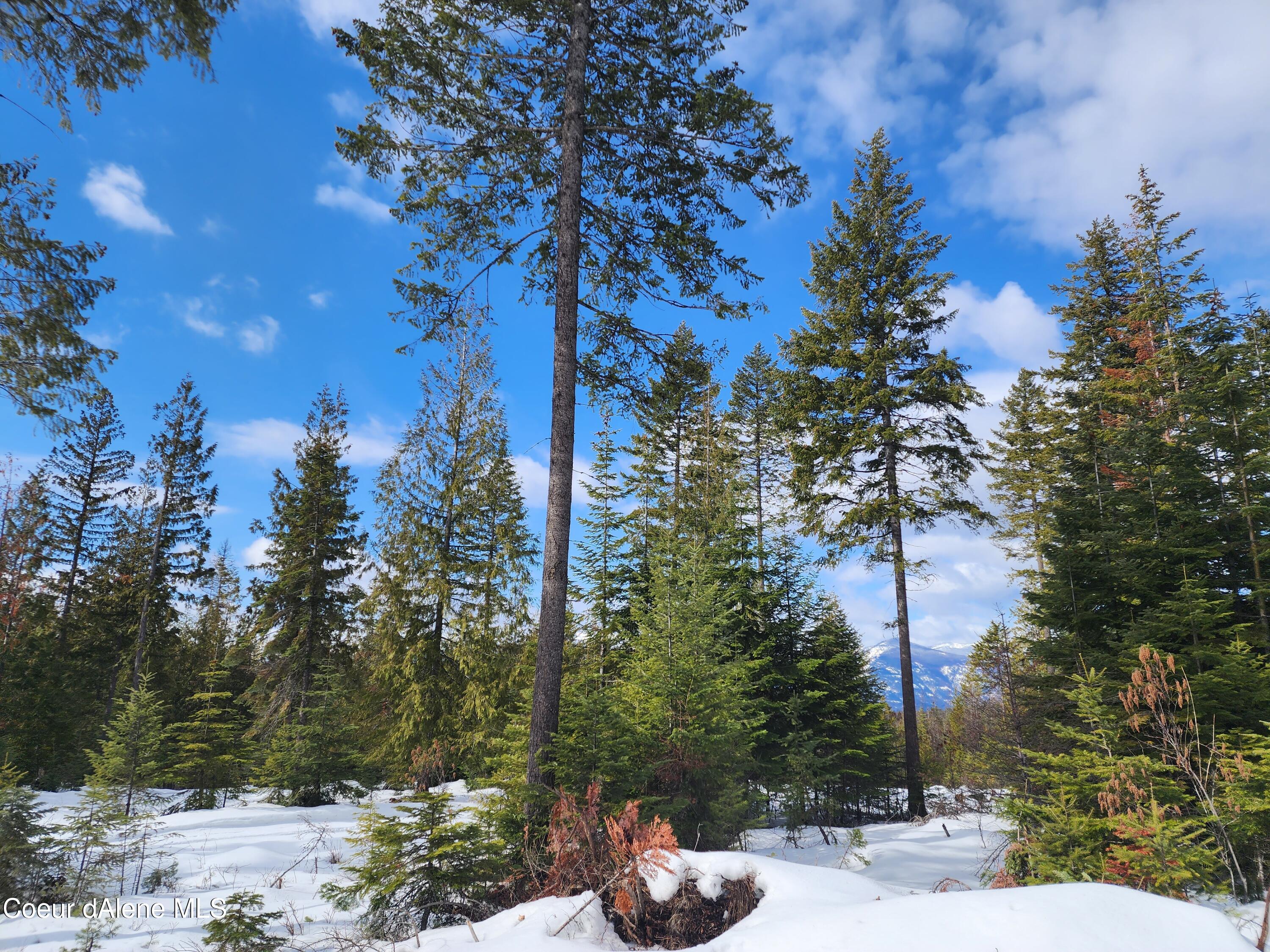 NKA Meadow Creek, Bonners Ferry, Idaho image 28