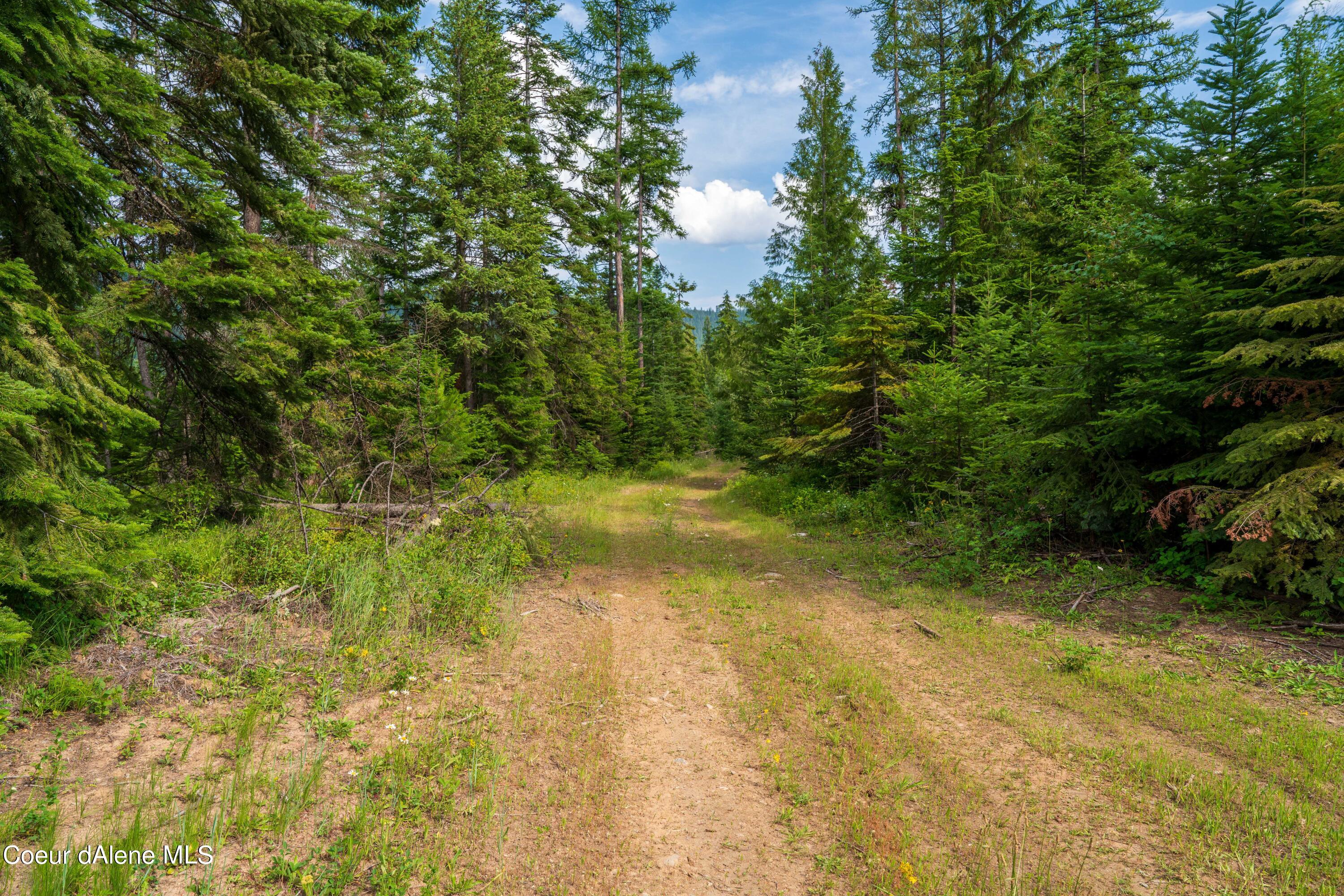 NKA Meadow Creek, Bonners Ferry, Idaho image 15