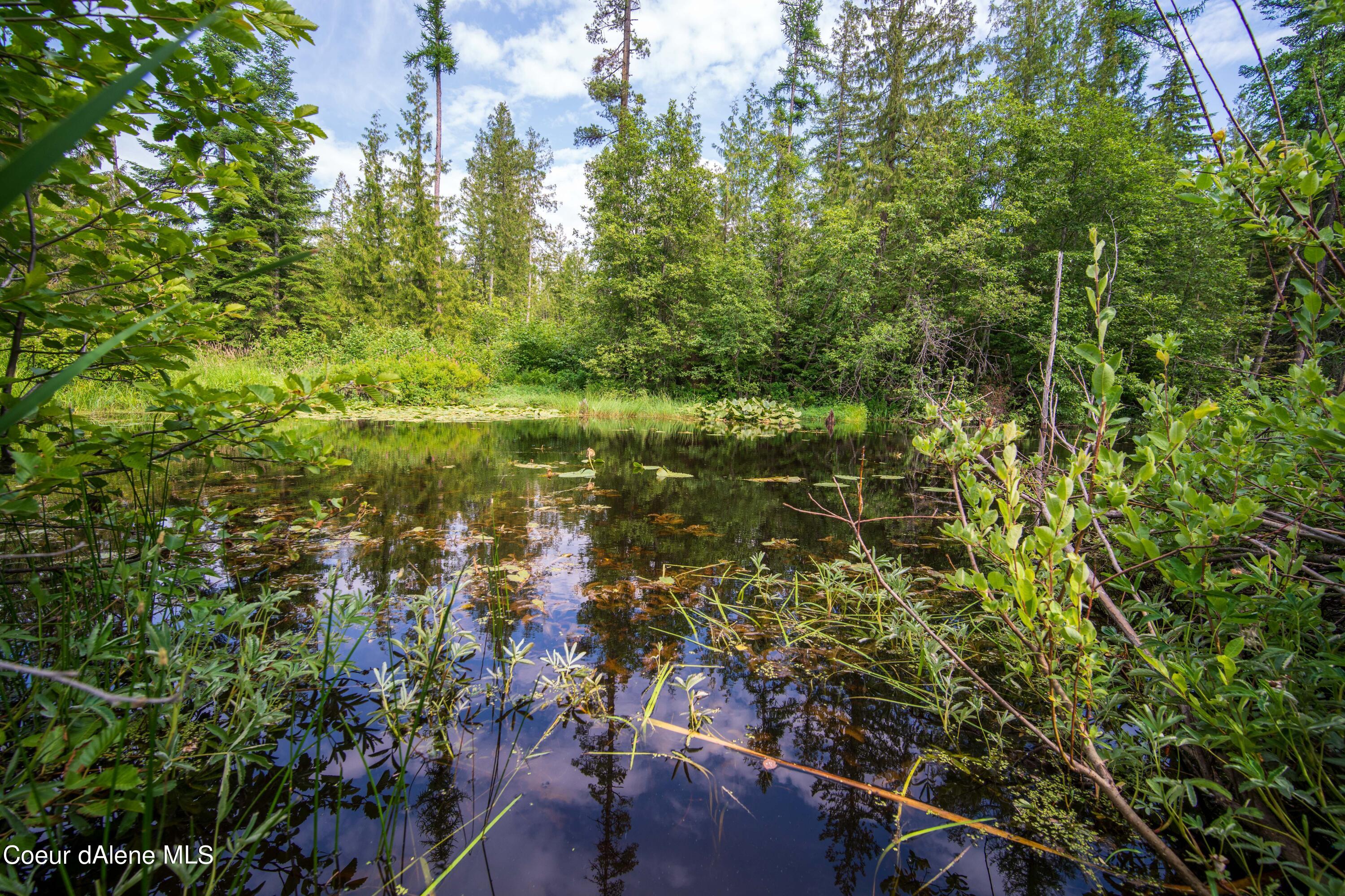 NKA Meadow Creek, Bonners Ferry, Idaho image 4