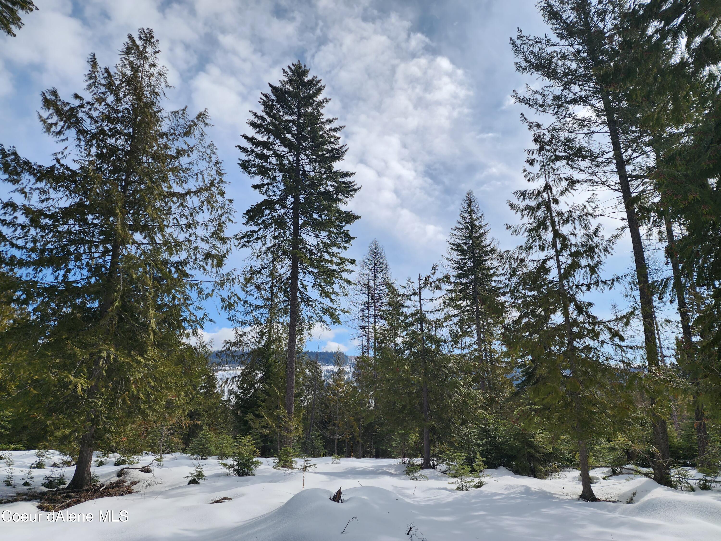 NKA Meadow Creek, Bonners Ferry, Idaho image 29