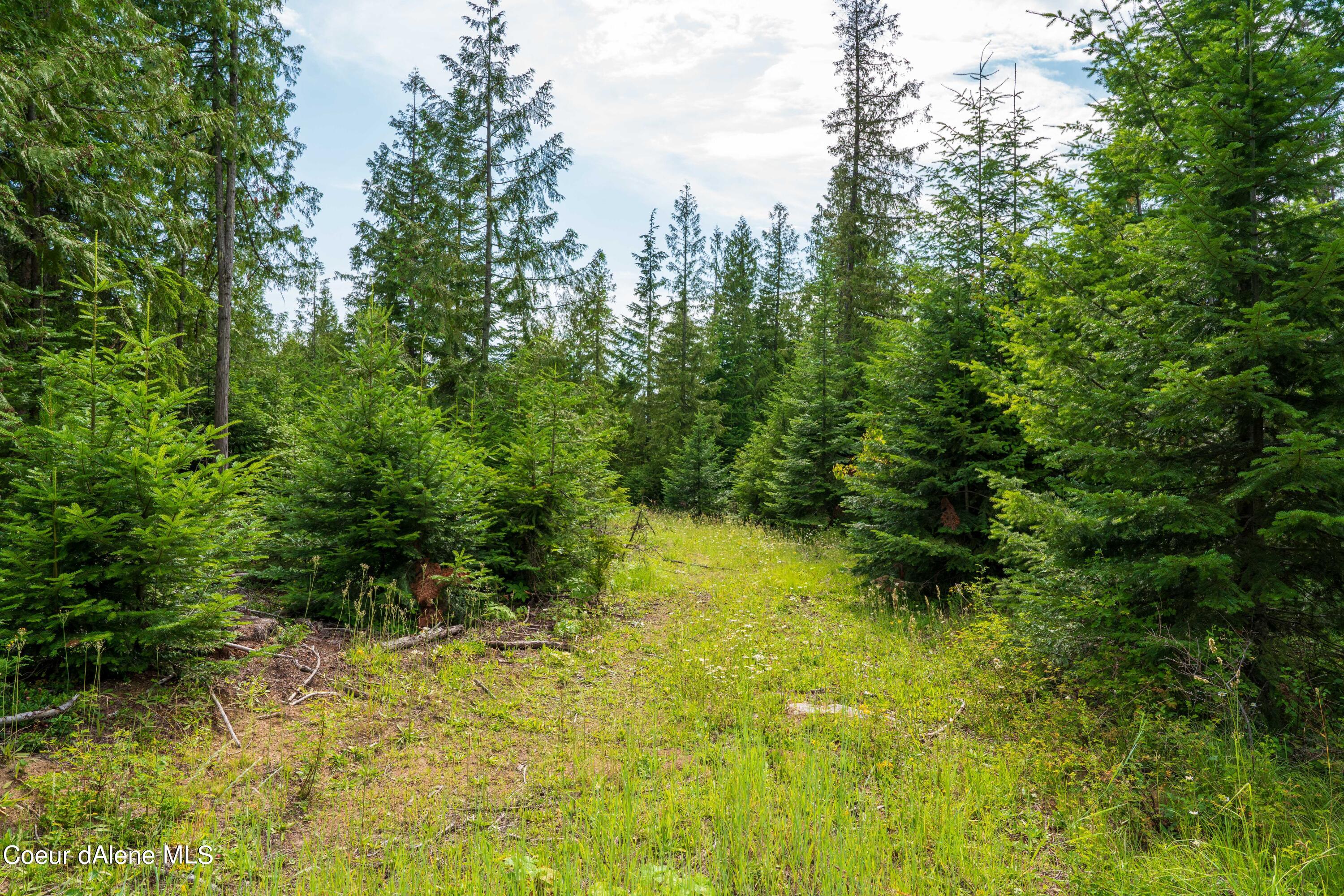 NKA Meadow Creek, Bonners Ferry, Idaho image 8