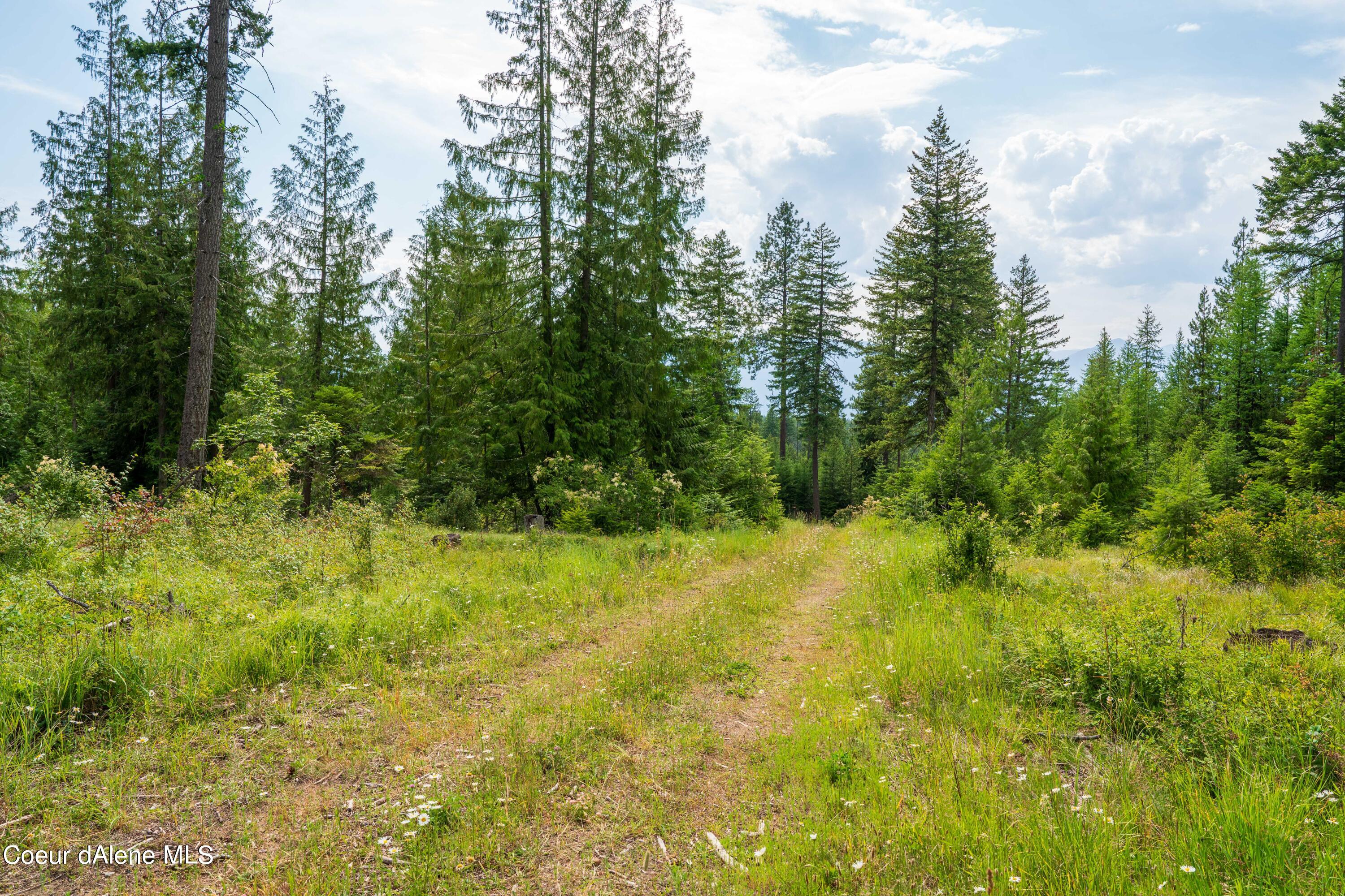 NKA Meadow Creek, Bonners Ferry, Idaho image 13