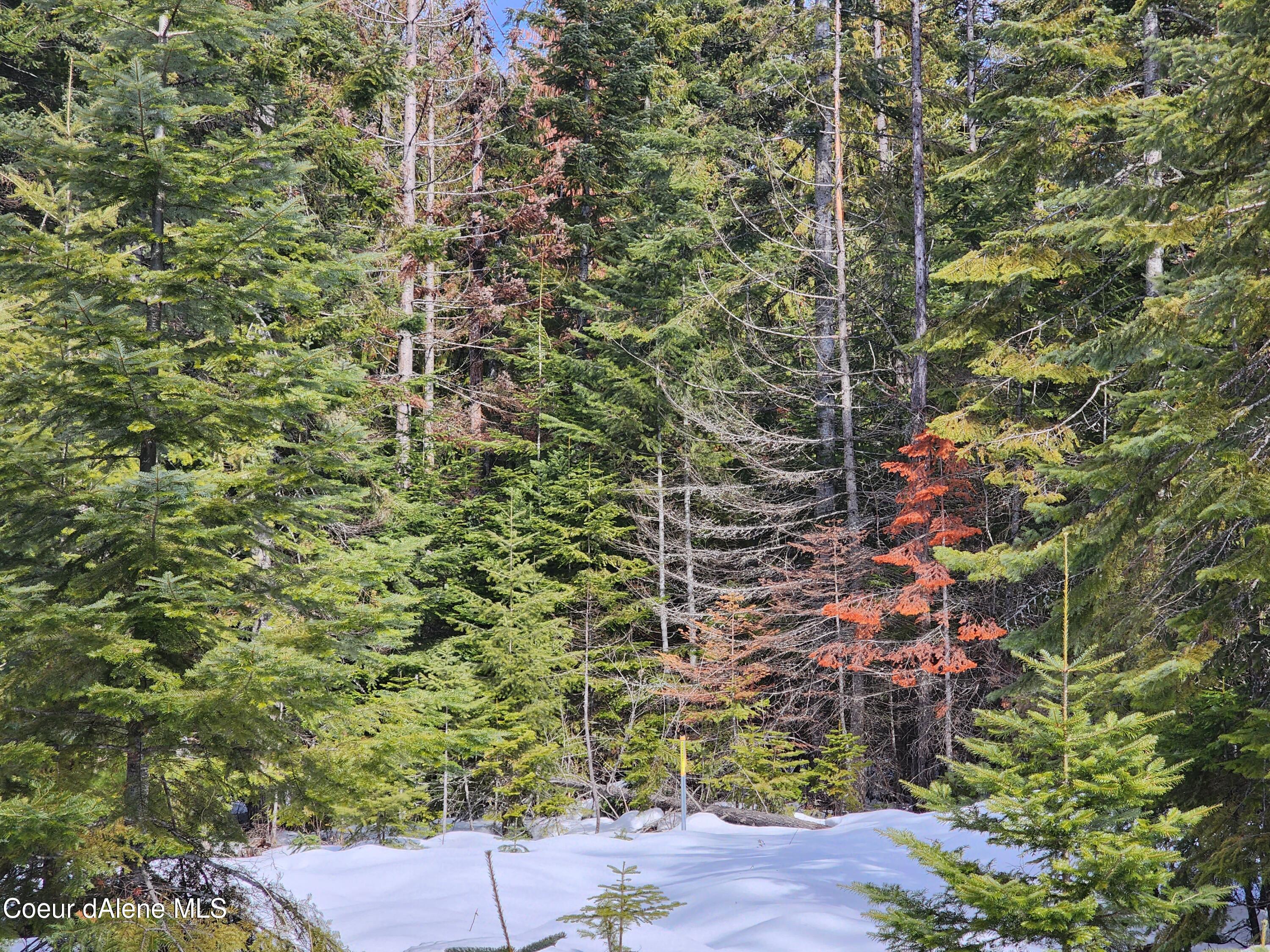 NKA Meadow Creek, Bonners Ferry, Idaho image 30