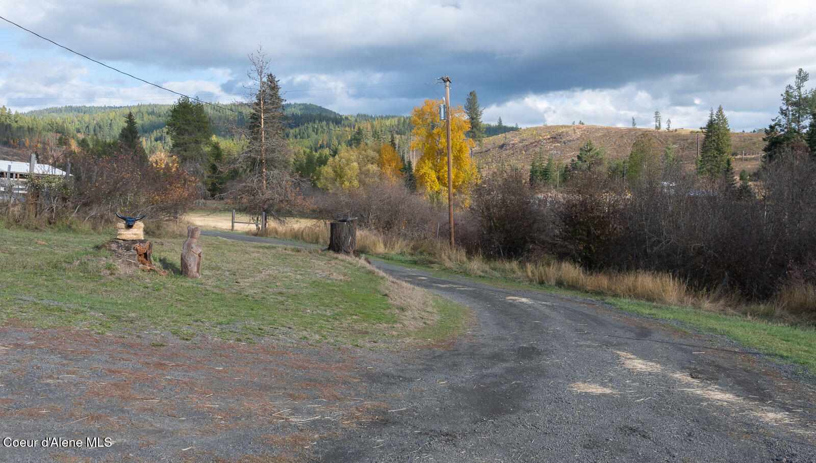 319 Crystal Creek, Fernwood, Idaho image 37