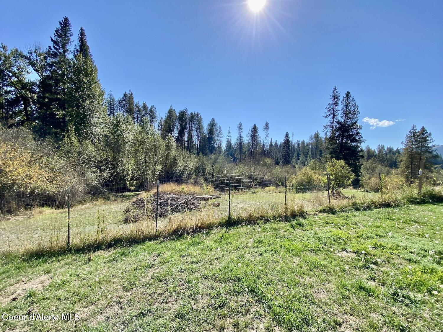 319 Crystal Creek, Fernwood, Idaho image 43