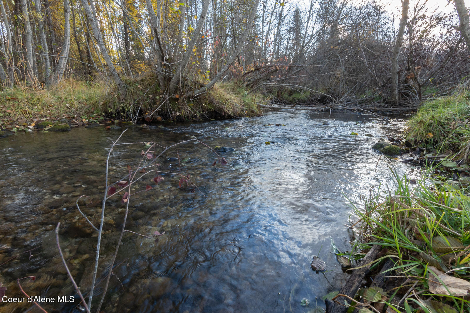 319 Crystal Creek, Fernwood, Idaho image 38