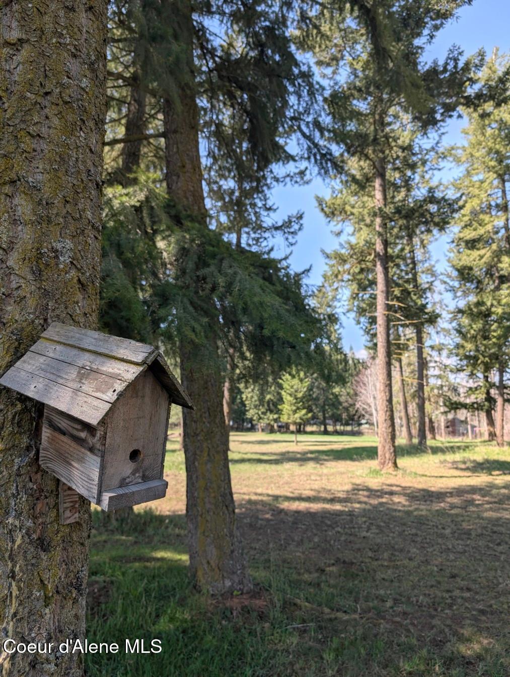NNA 1.5ac Appaloosa Road, Moyie Springs, Idaho image 4