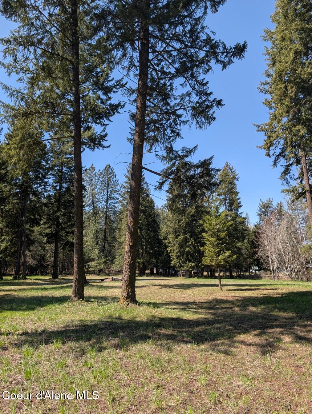 NNA 1.5ac Appaloosa Road, Moyie Springs, Idaho image 11