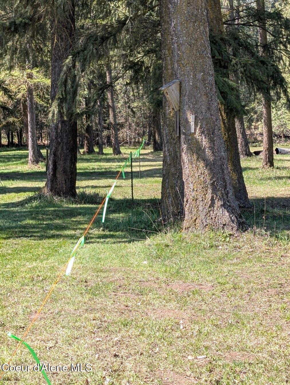 NNA 1.5ac Appaloosa Road, Moyie Springs, Idaho image 9