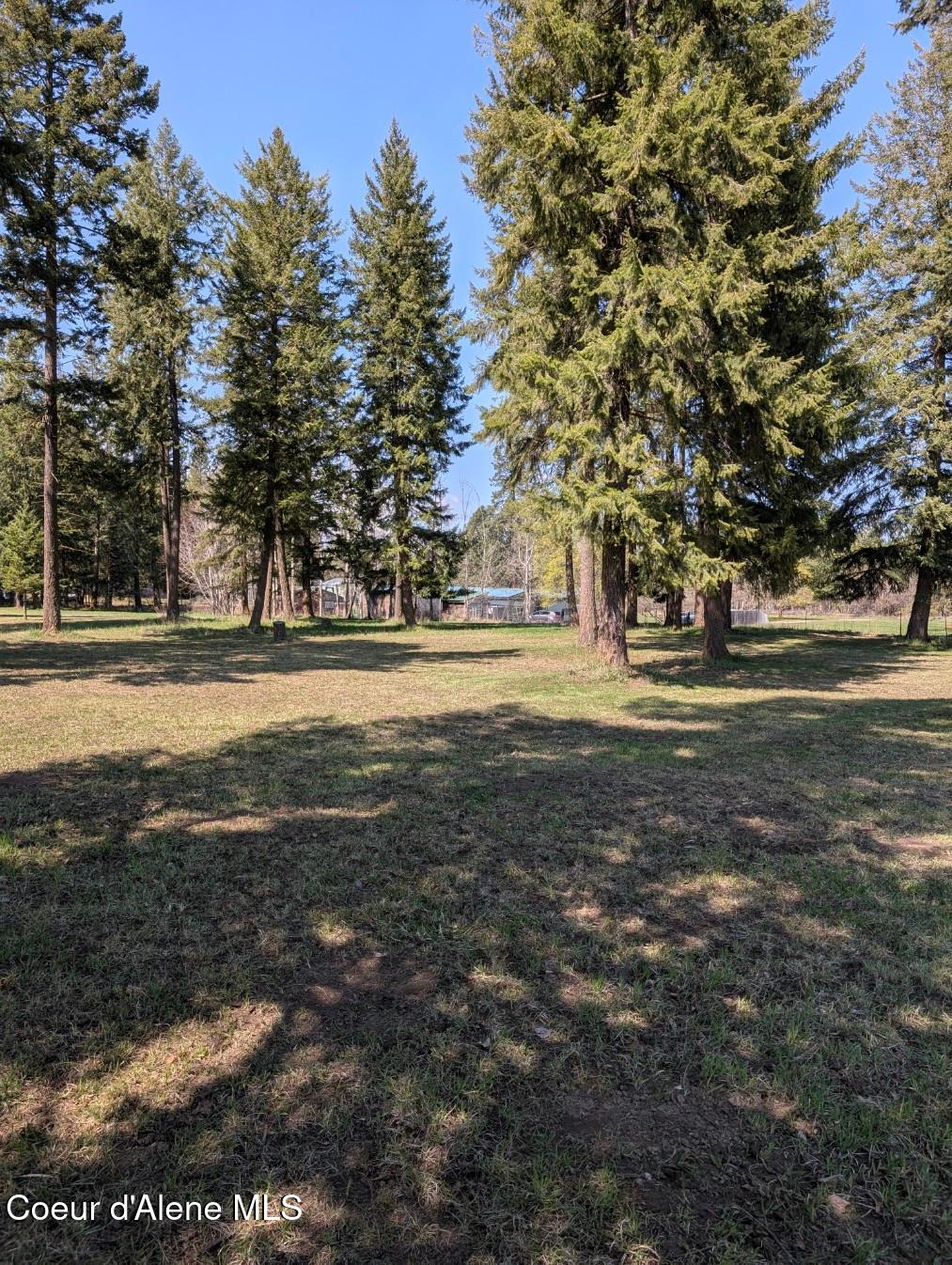 NNA 1.5ac Appaloosa Road, Moyie Springs, Idaho image 8