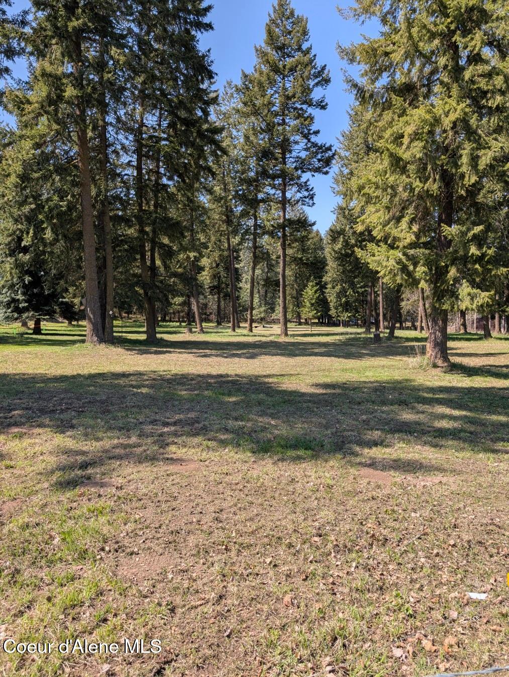 NNA 1.5ac Appaloosa Road, Moyie Springs, Idaho image 2