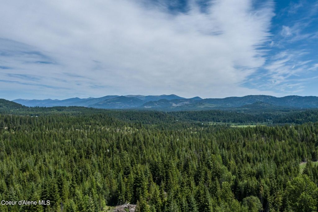 Photo of 718A Slippery Slope Trl, Priest River, ID 83856 (MLS # 24-8225)