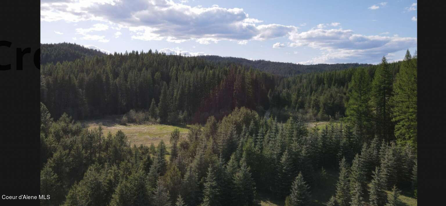 Quartz Creek, Priest River, Idaho image 1