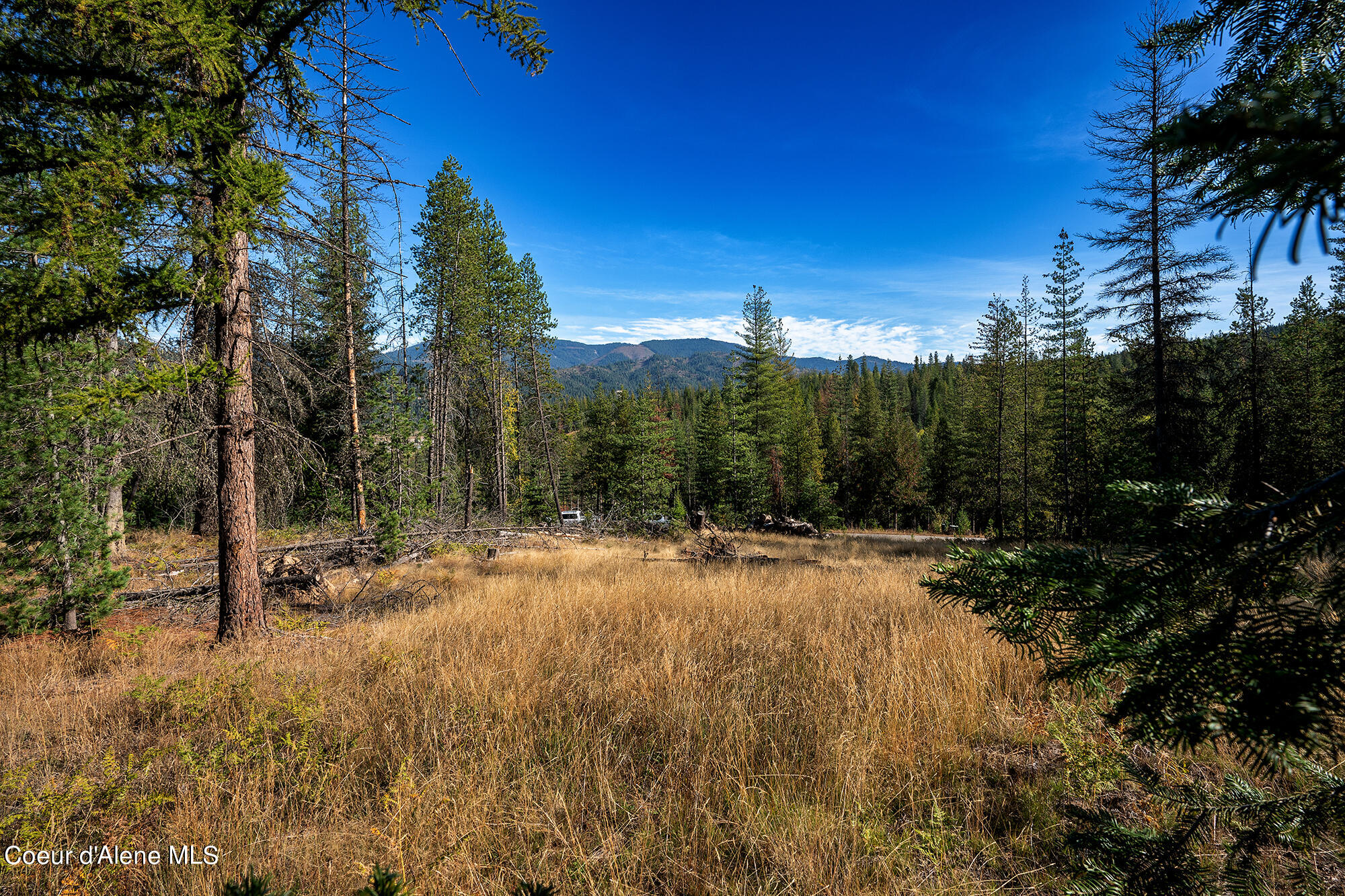 107 Blazing Saddle Ct, Pinehurst, Idaho image 3