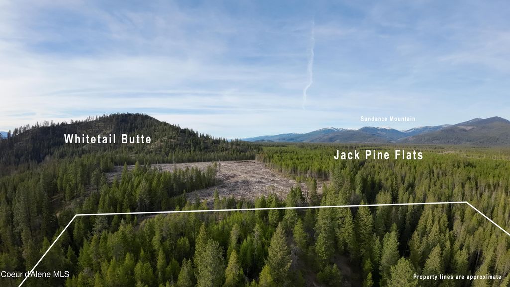 Photo of NNA Mud Gulch, Priest River, ID 83856 (MLS # 26-3979)