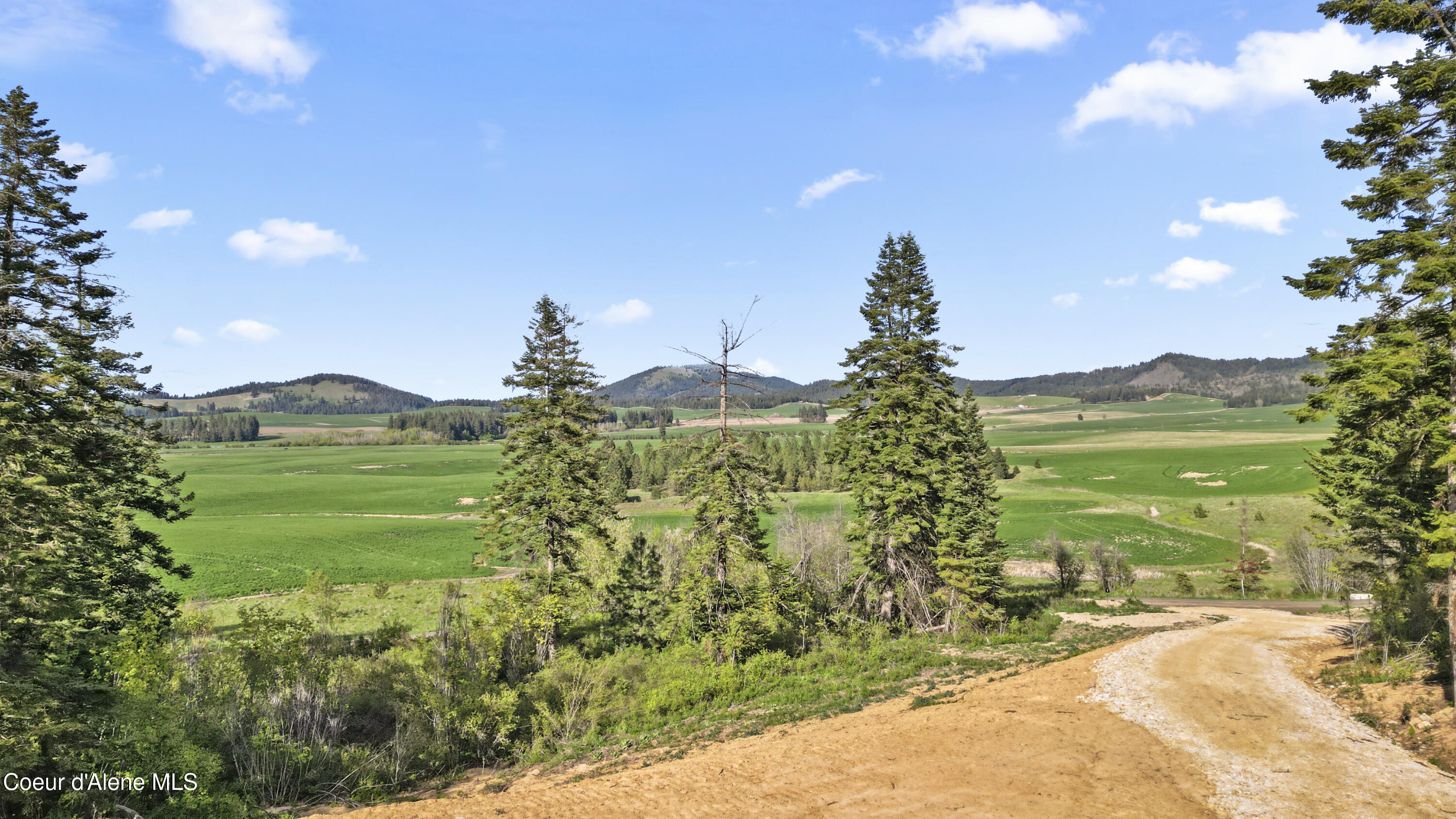 Lot 2 Lone Moose Dr, Plummer, Idaho image 12