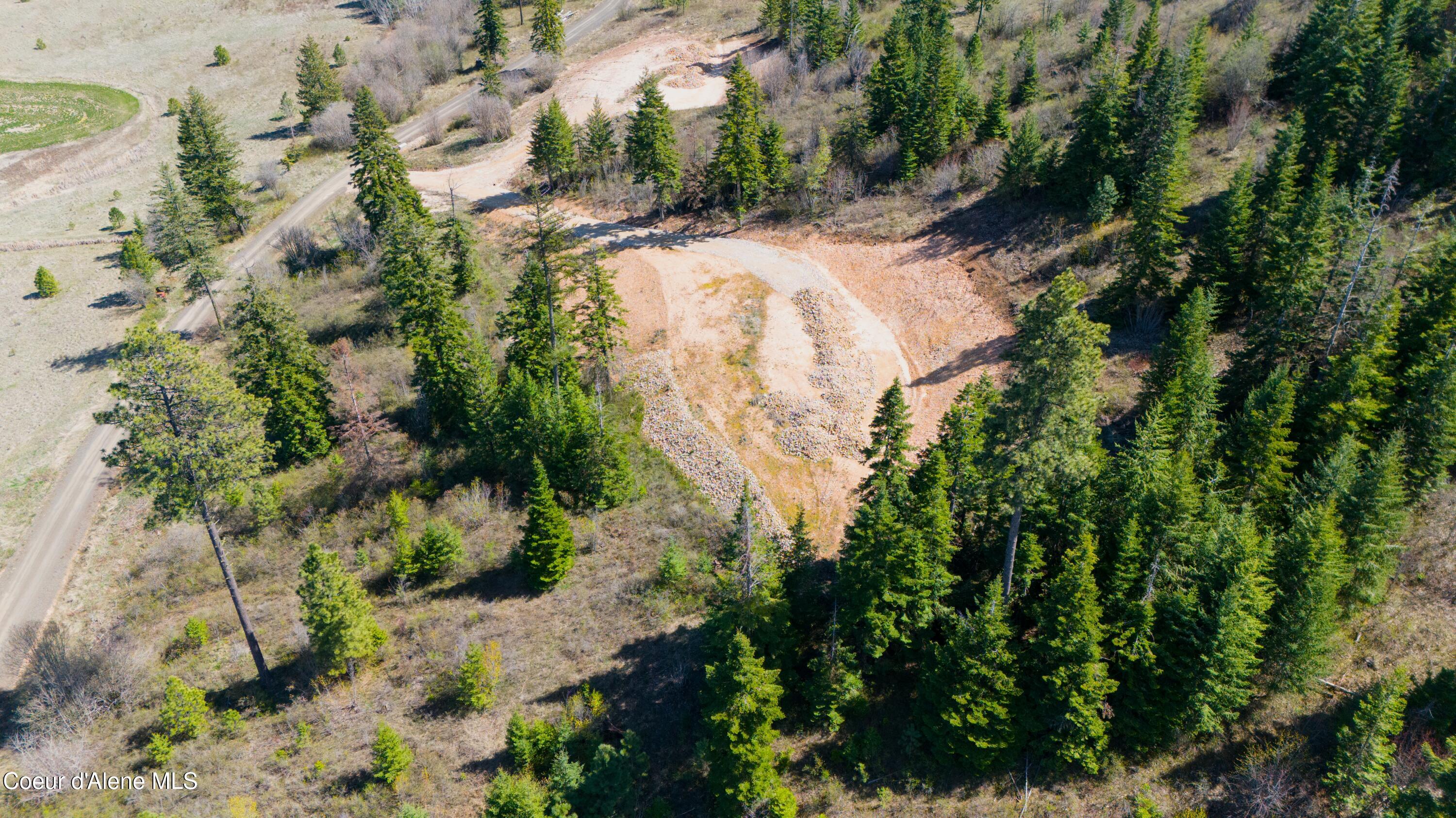 Lot 2 Lone Moose Dr, Plummer, Idaho image 2