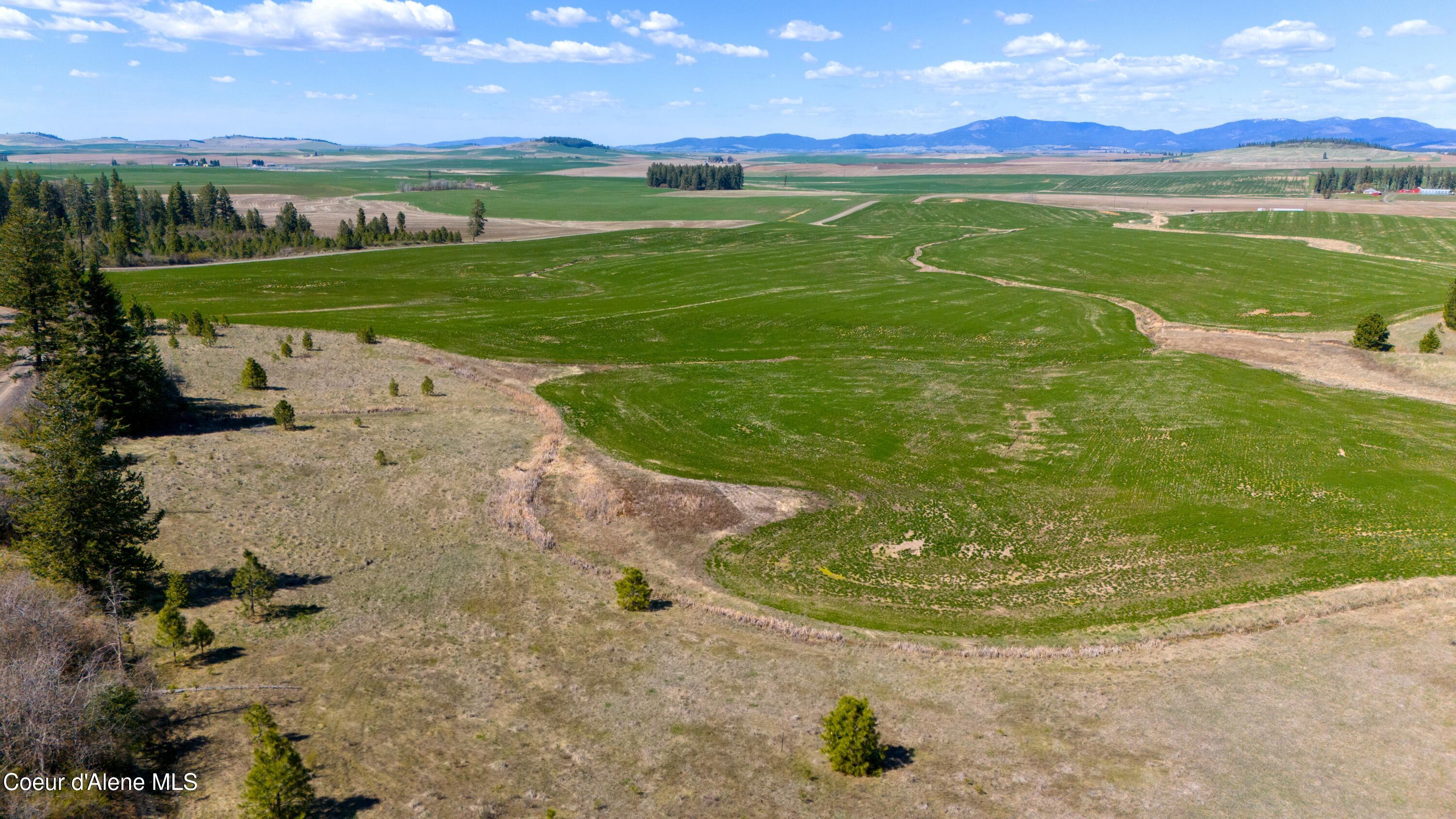 Lot 2 Lone Moose Dr, Plummer, Idaho image 4