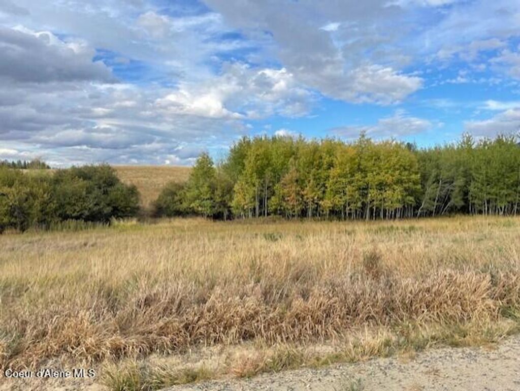 Photo of NKA FOX ROAD 150 ACRES, Tensed, ID 83870 (MLS # 25-9916)