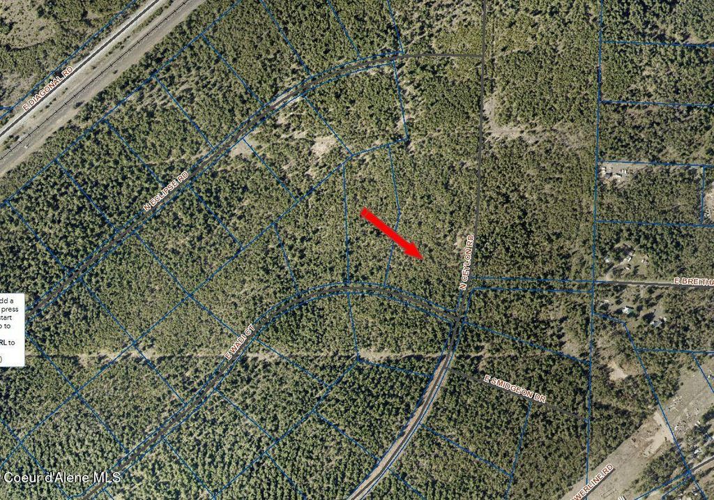 Photo of L1B9 Ceylon, Rathdrum, ID 83858 (MLS # 26-5077)