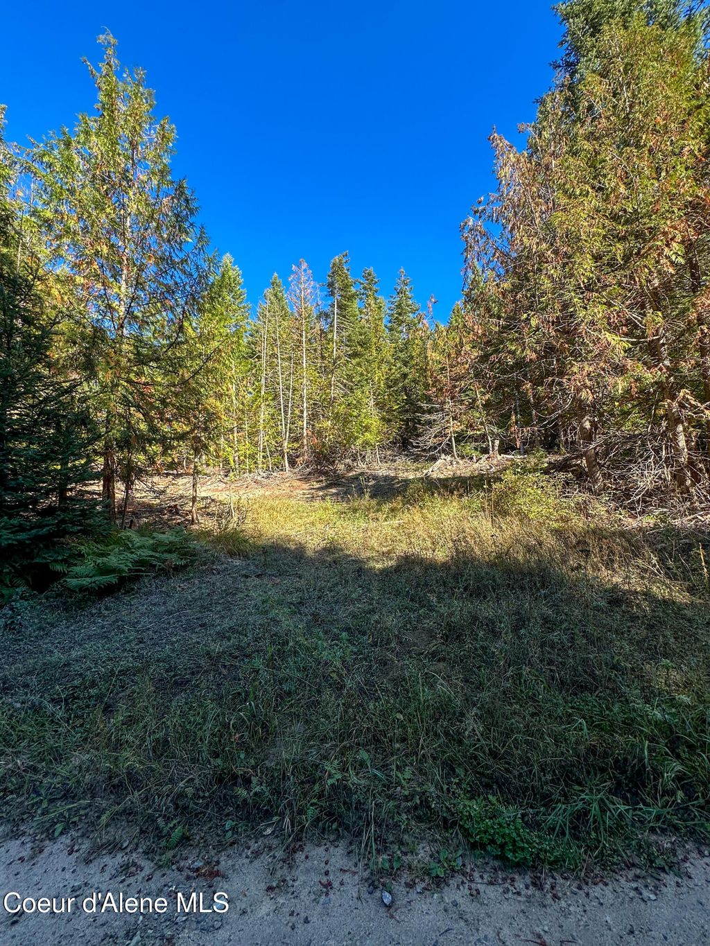 Photo of NNA Santa Fe, Bonners Ferry, ID 83805 (MLS # 25-10140)