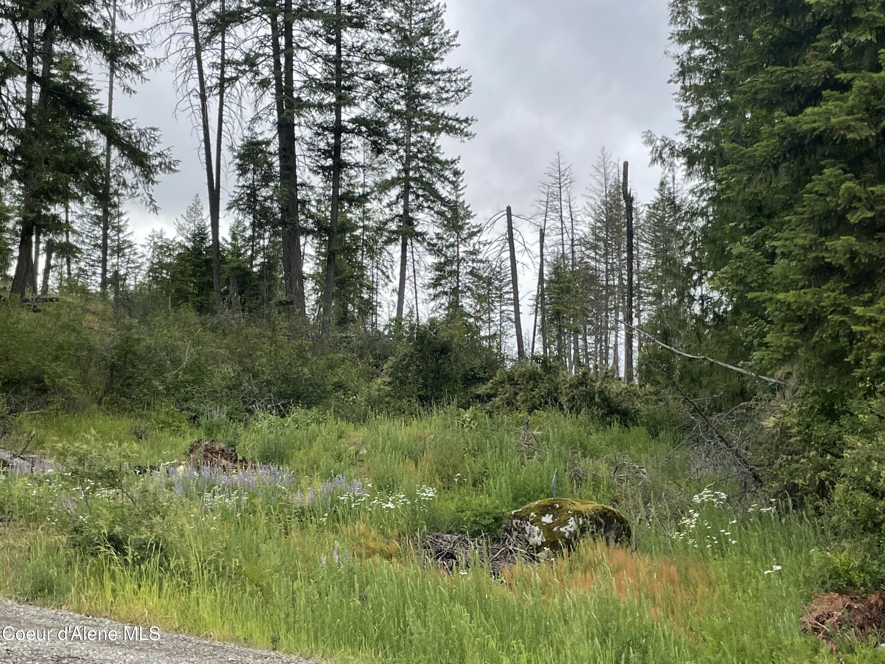 24010 N Bridge Lake, Rathdrum, Alaska image 45