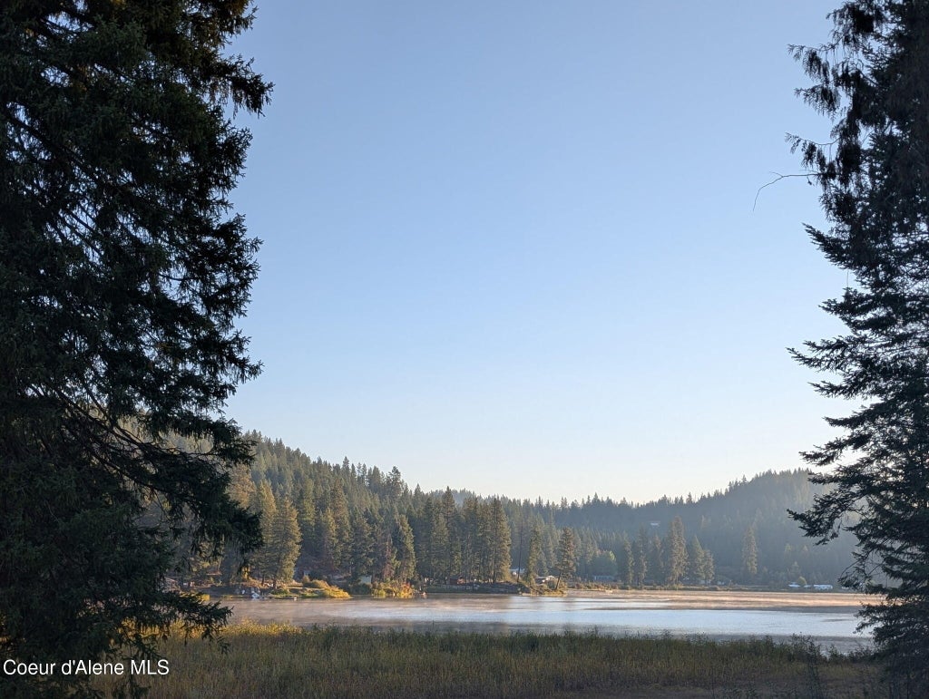 Photo of 447 Beaver Lake Lake, Athol, ID 83801 (MLS # 26-6574)