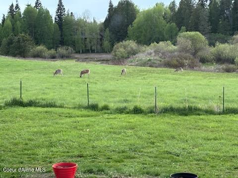 436 Mays Rd, Sagle, Idaho image 3