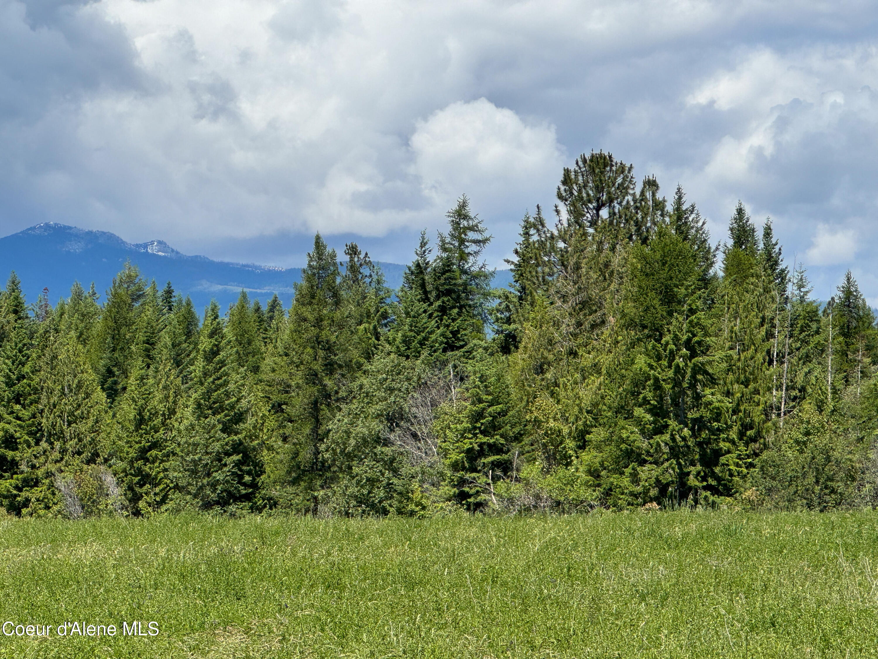 485 Stellar Jay Rd, Bonners Ferry, Idaho image 9