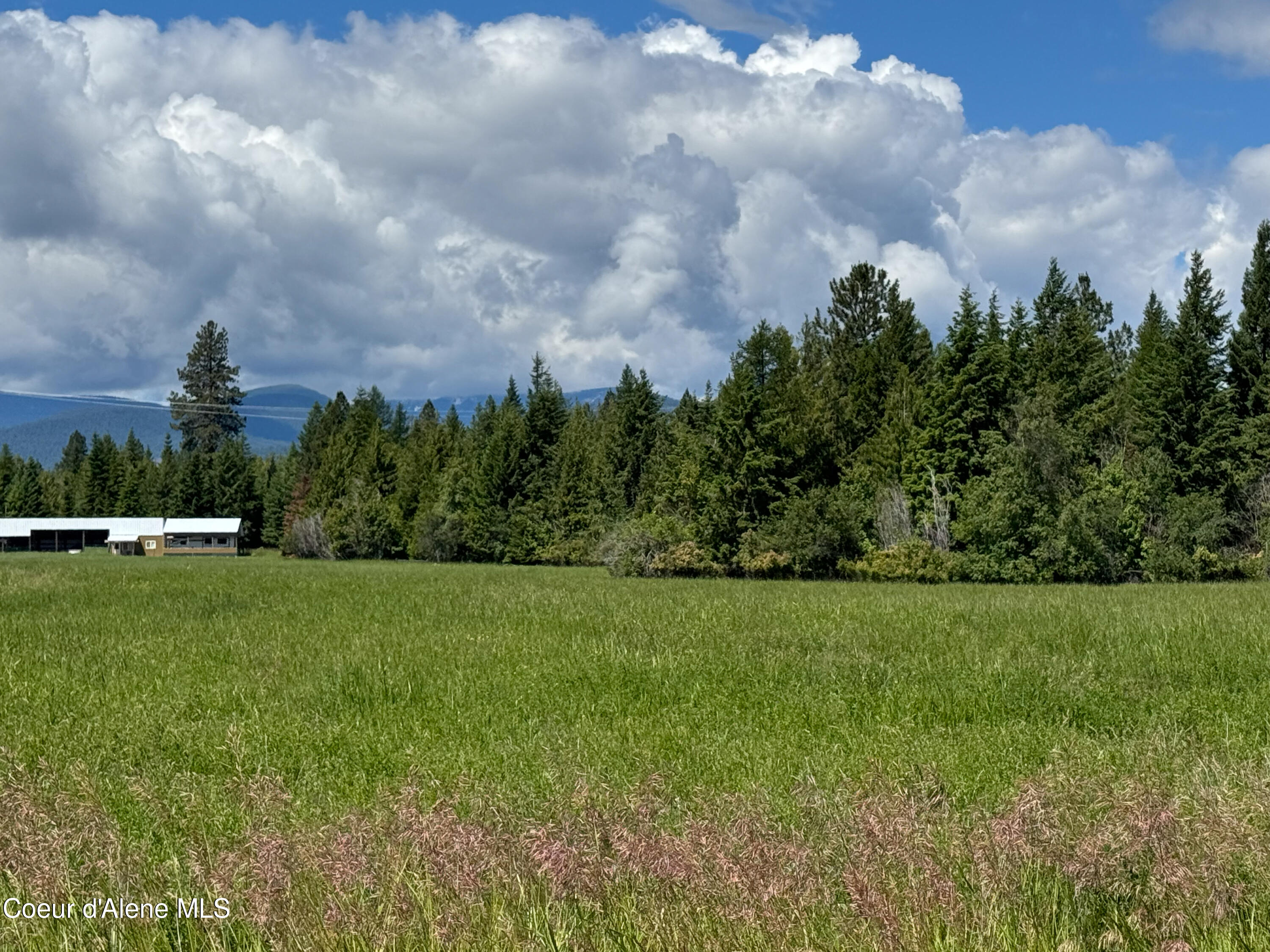 485 Stellar Jay Rd, Bonners Ferry, Idaho image 7