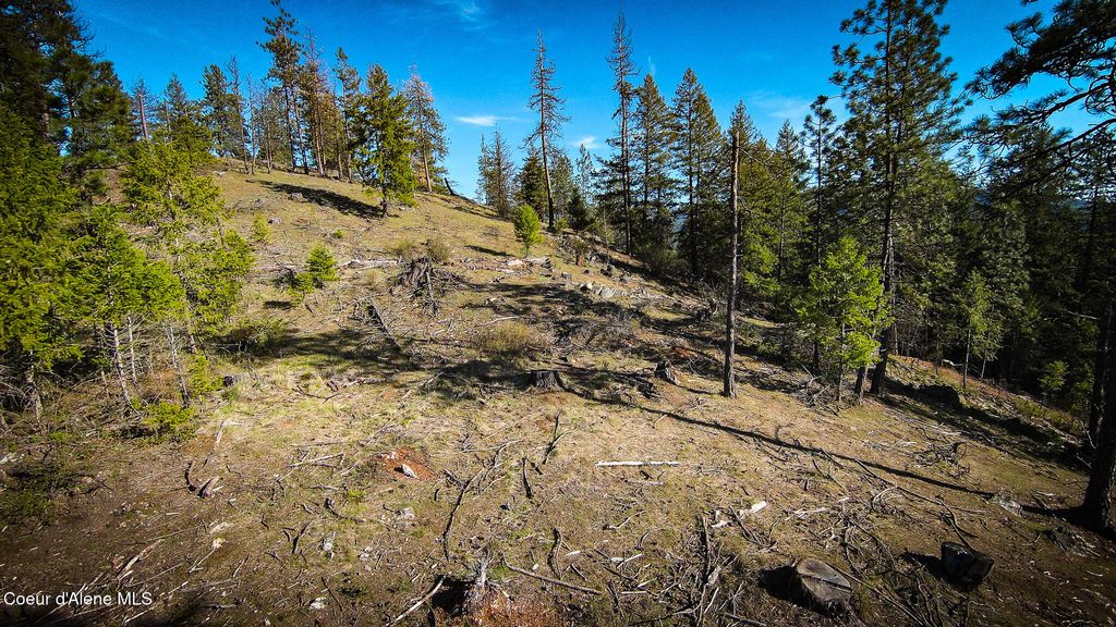 Photo of NNA Lot 3 Kacy Bear, Priest River, ID 83856 (MLS # 26-3798)