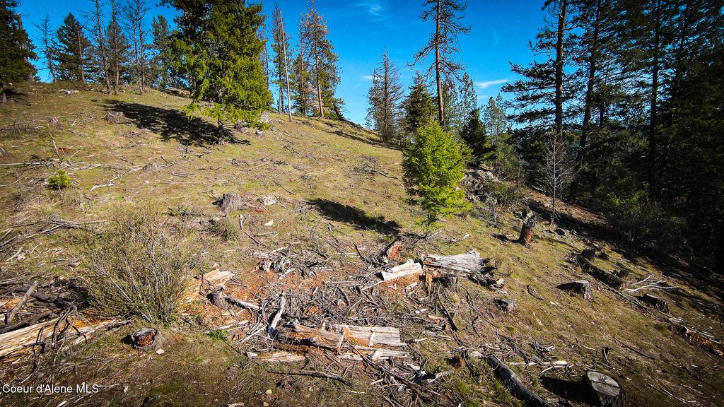 Photo of NNA Lot 3 Kacy Bear, Priest River, ID 83856 (MLS # 26-3798)