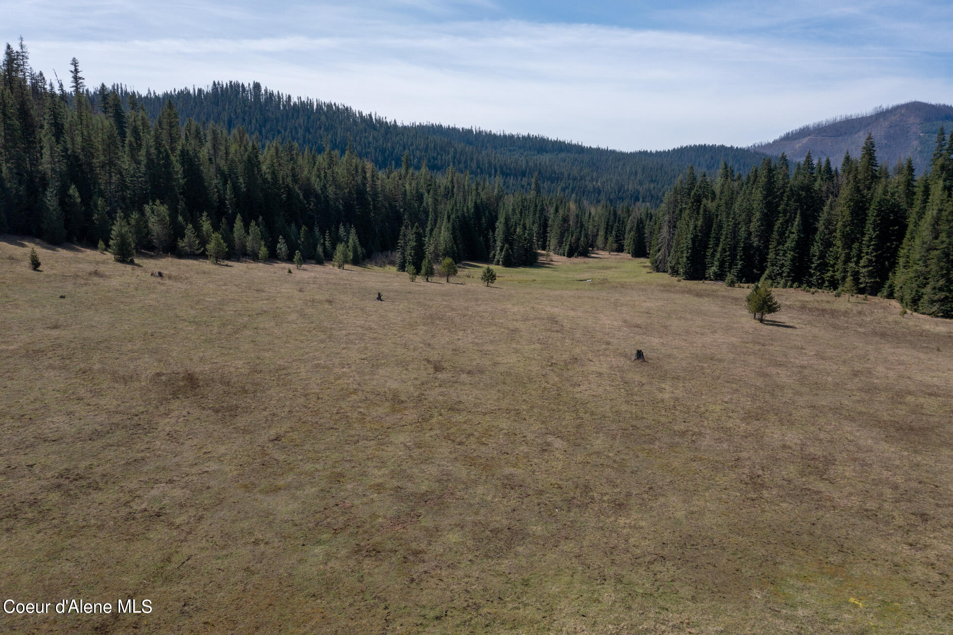 828 W Fork Eagle Creek Road, Wallace, Idaho image 8