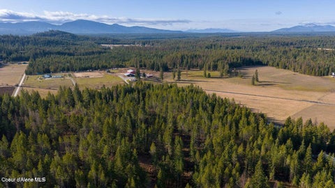 Vacant Land For Sale - NKA Abundant Life (lot 3)<br/> Athol, ID 83801