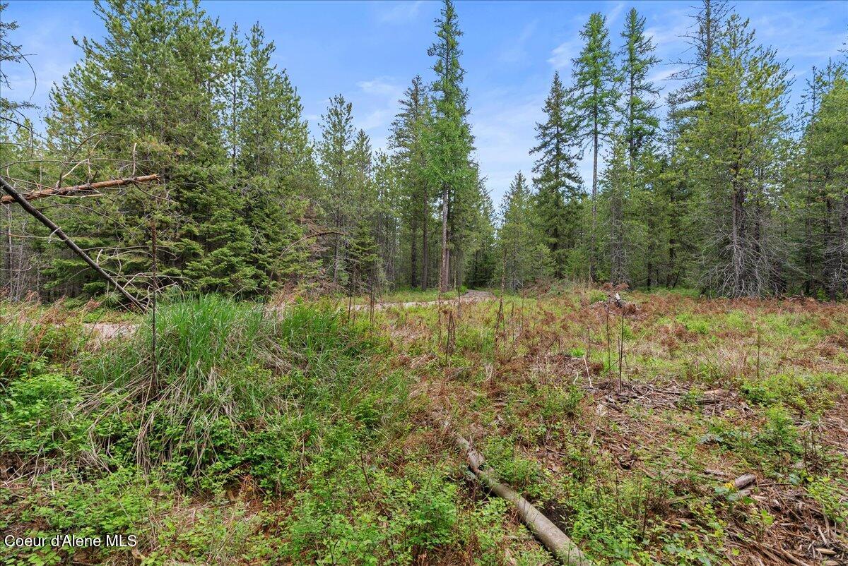 211 Dawson Rd, Priest River, Alaska image 26