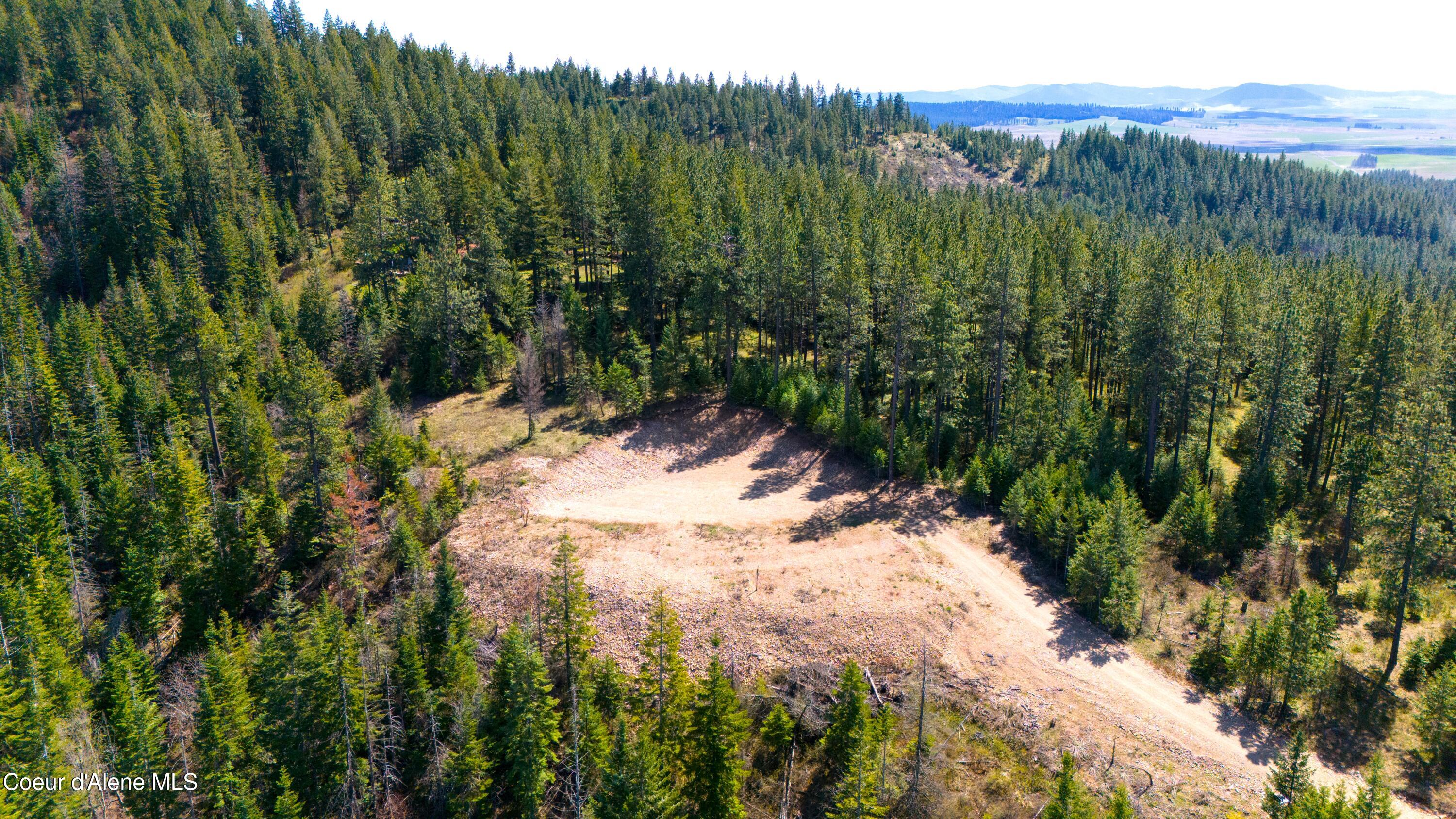 Lot 10 Lone Moose Dr, Plummer, Alaska image 3