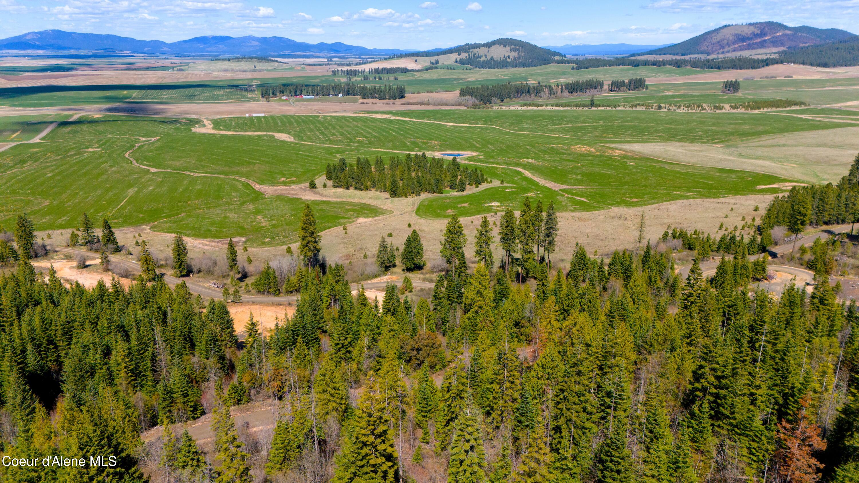 Lot 10 Lone Moose Dr, Plummer, Alaska image 2