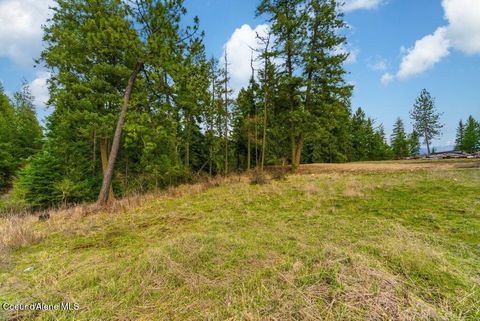 Vacant Land For Sale - Bastrup<br/> Coeur d'Alene, ID 83814