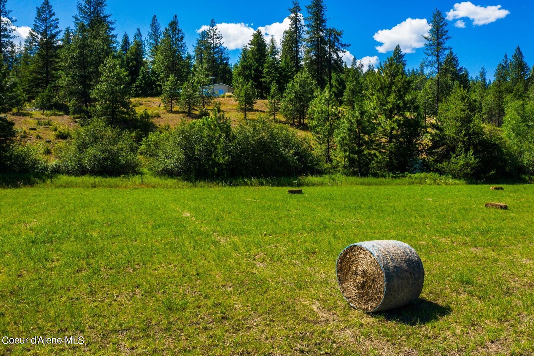 755 Curtis Creek, Priest River, Idaho image 8