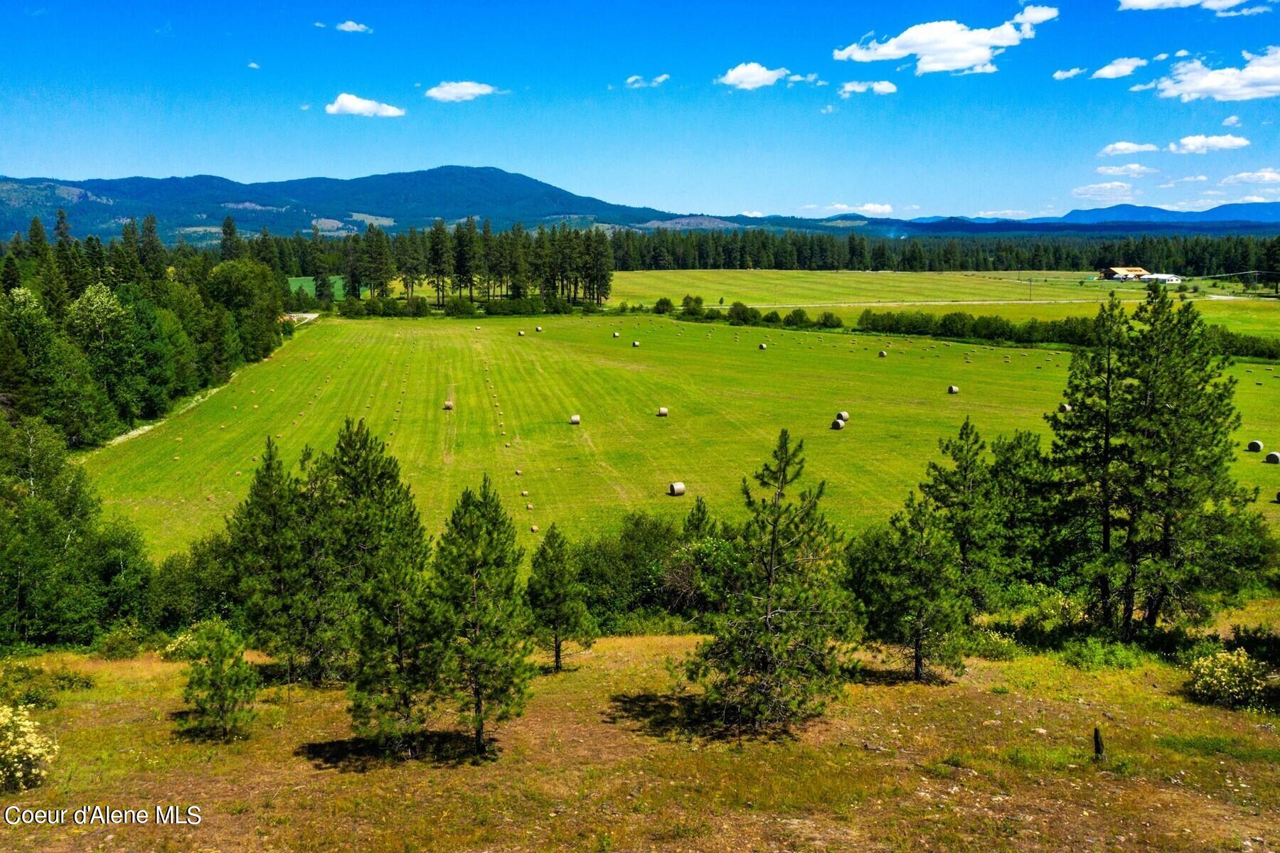 755 Curtis Creek, Priest River, Idaho image 5