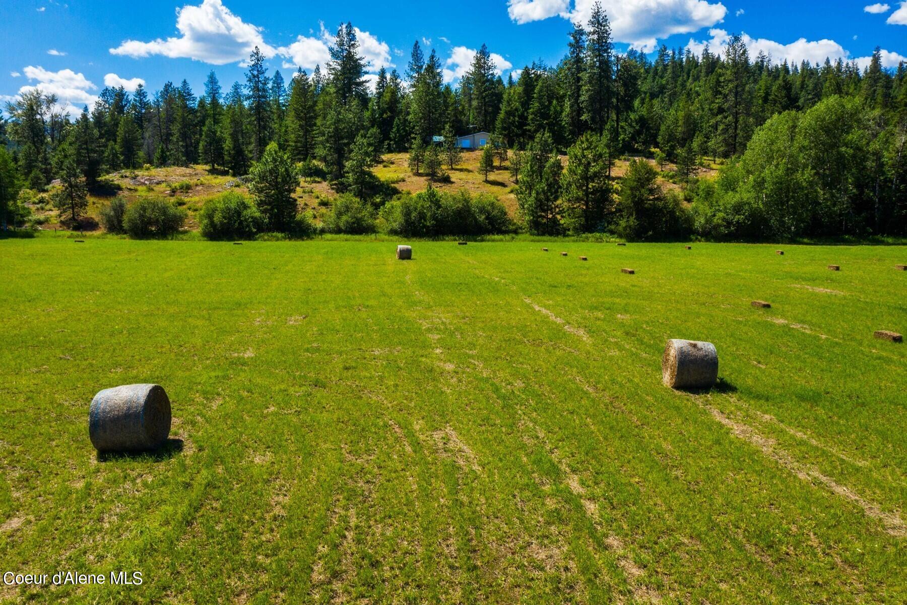 755 Curtis Creek, Priest River, Idaho image 6