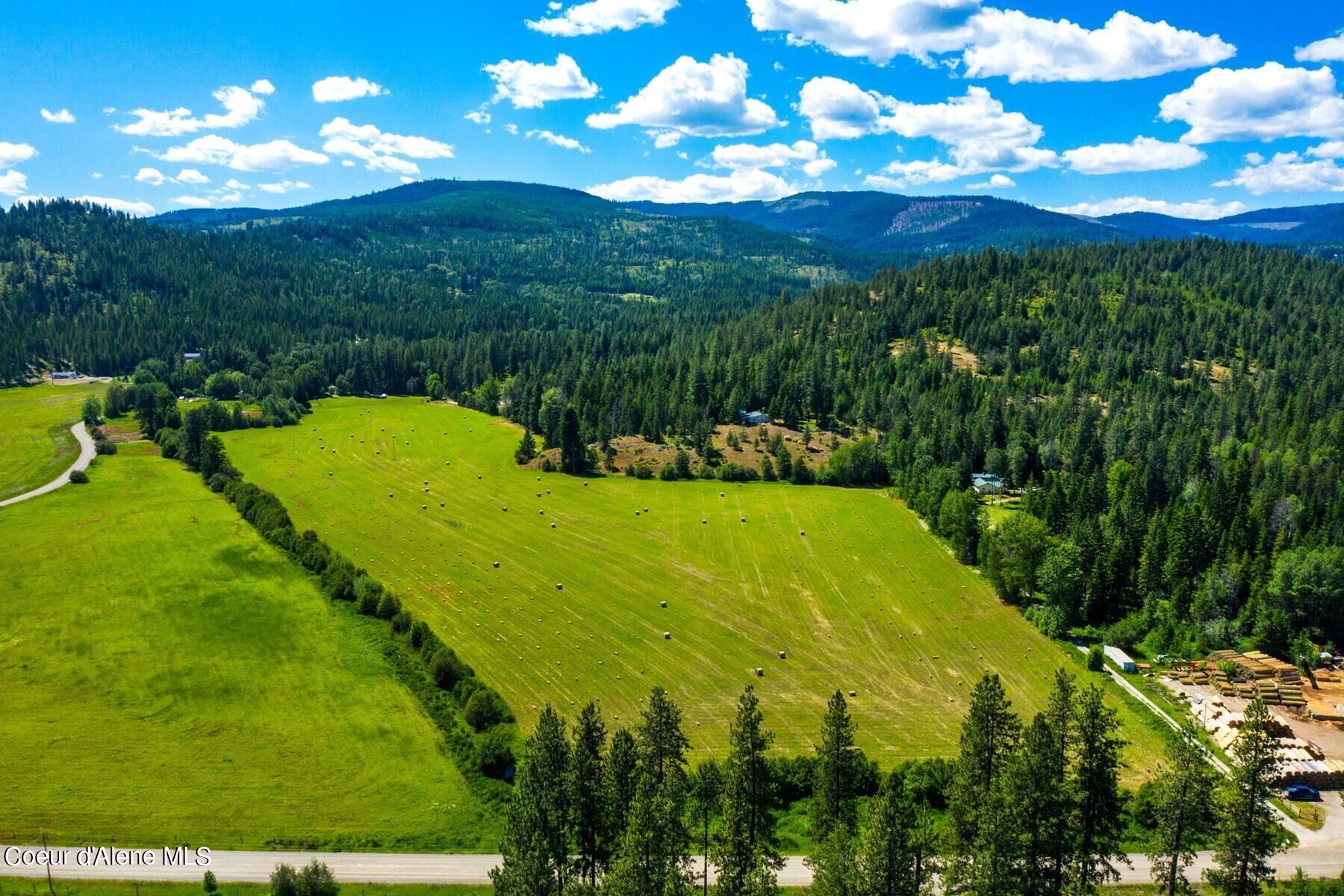 755 Curtis Creek, Priest River, Idaho image 1