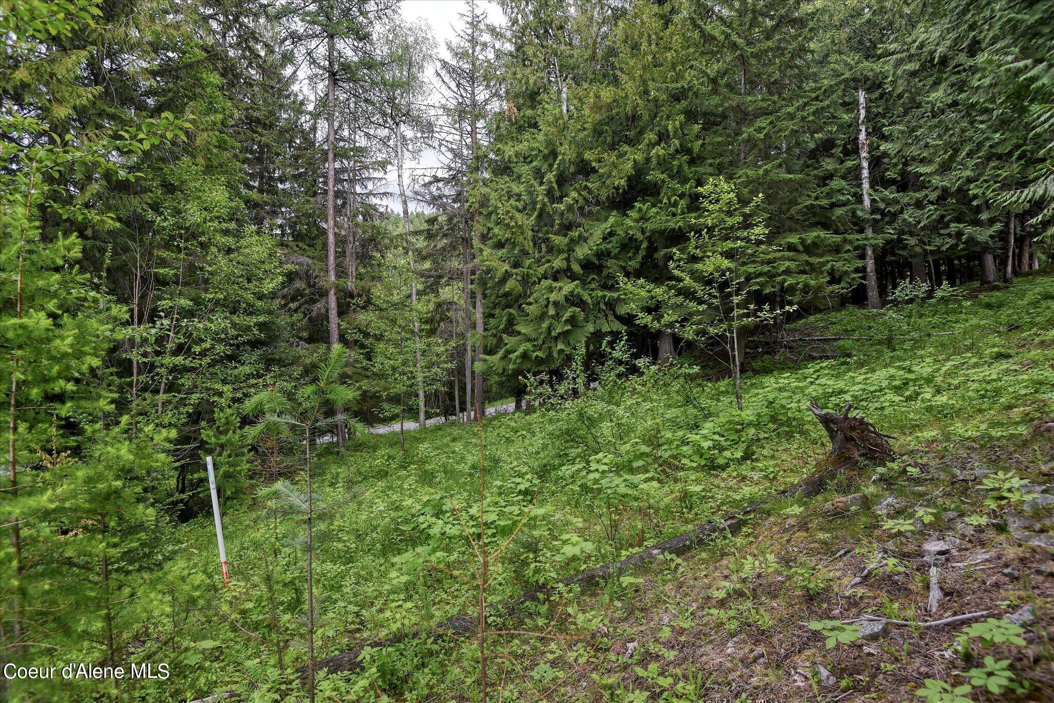 Lot A5 S Idaho Club Dr, Sandpoint, Idaho image 31